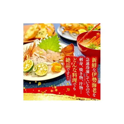 【伊勢海老】 冷凍伊勢海老 1.4kg以上