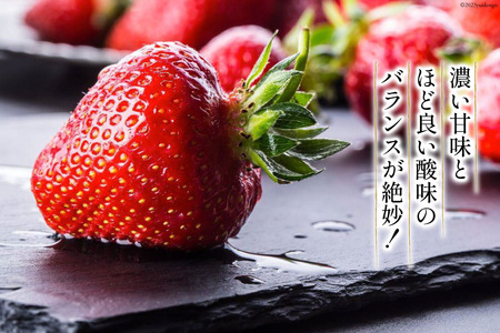 期間限定発送 【3回 定期便 】 いちご 博多 あまおう 約270g×2パック×3回 総計約1.62kg