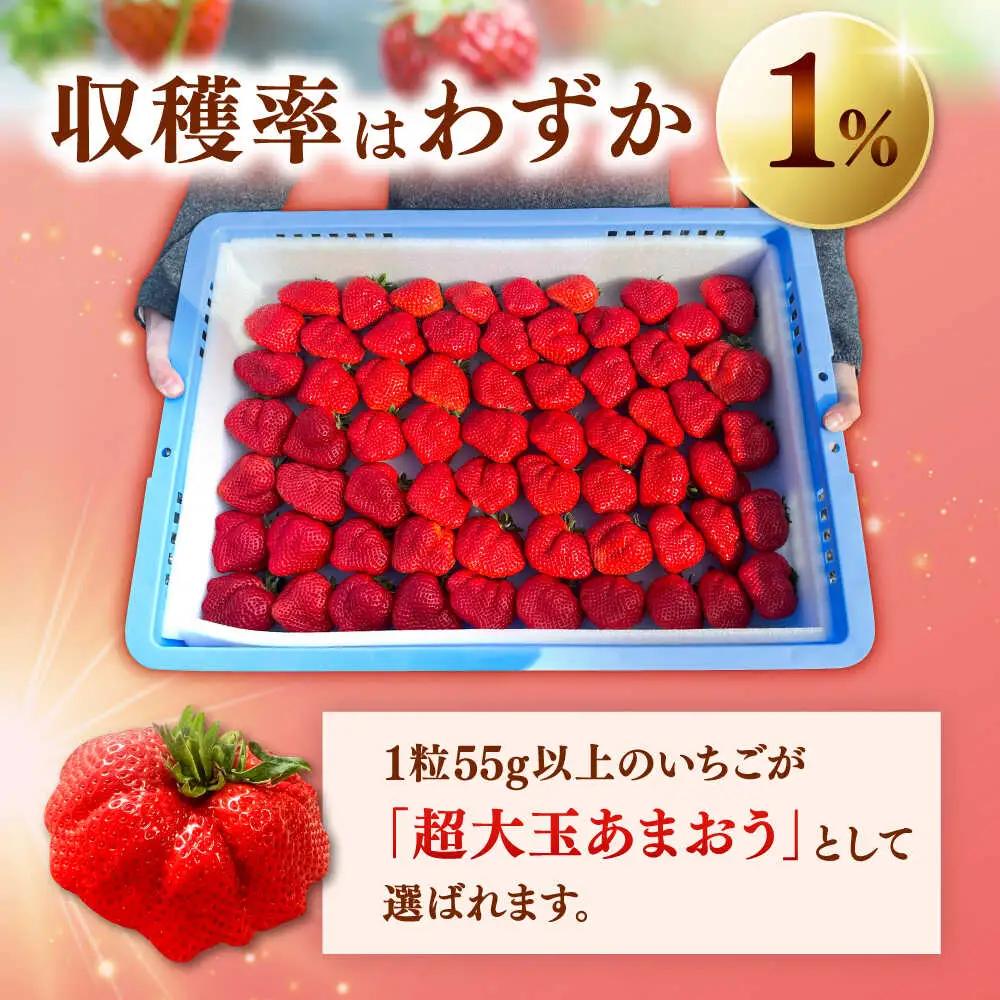 【2027年度先行予約】超大玉あまおう  約320g×2 [ADAT001] あまおう