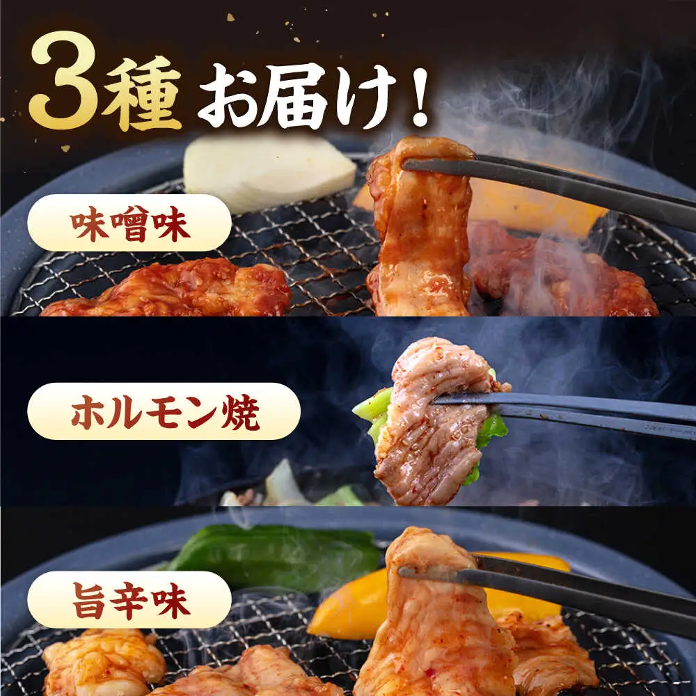 味付き ホルモン （旨辛・味噌・筑豊ホルモン焼き）3種セット 桂川町/マルマツ産業株式会社 [ADAE005] ホルモン焼き ホルモン 味付きホルモン 焼肉 冷凍