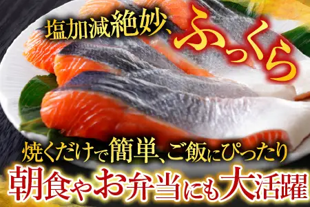 お刺身トラウトサーモン6～12本(計3kg)＆塩銀鮭切り身1切(約70g)×30P D-09040