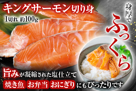 お刺身トラウトサーモン10～25本(計5kg)＆塩キングサーモン切り身1切(約100g)×20P E-09009