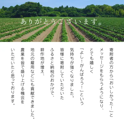 干し芋 平干し  紅はるか 180g×3袋 540g  3ヵ月定期便 さつまいも