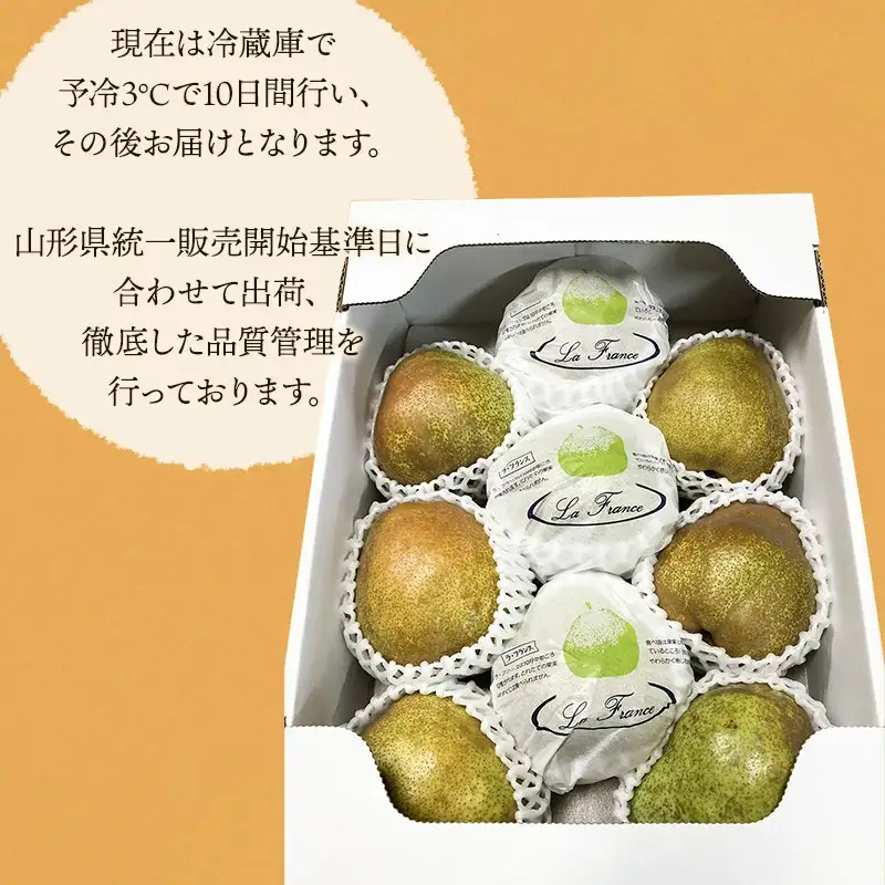 【令和8年産先行予約】安野農園のこだわりラ・フランス 3kg（5～9玉） 化粧箱入り 山形県鶴岡産　安野農園