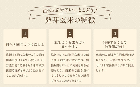【令和7年産】発芽玄米 ミルキークイーン 3kg 無洗米 米 玄米 [A-29106]