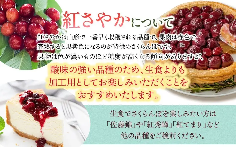 【令和9年産】【訳あり】さくらんぼ さやかちゃん (紅さやか) L～2Lサイズ混合 バラ詰め 800g（200g×4P）鶴岡市産 大膳農園
