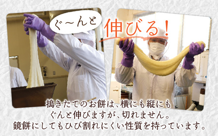 【先行予約】「杵つき白丸もちセット20個」(80g × 20個） 大野産たんちょうもち米使用