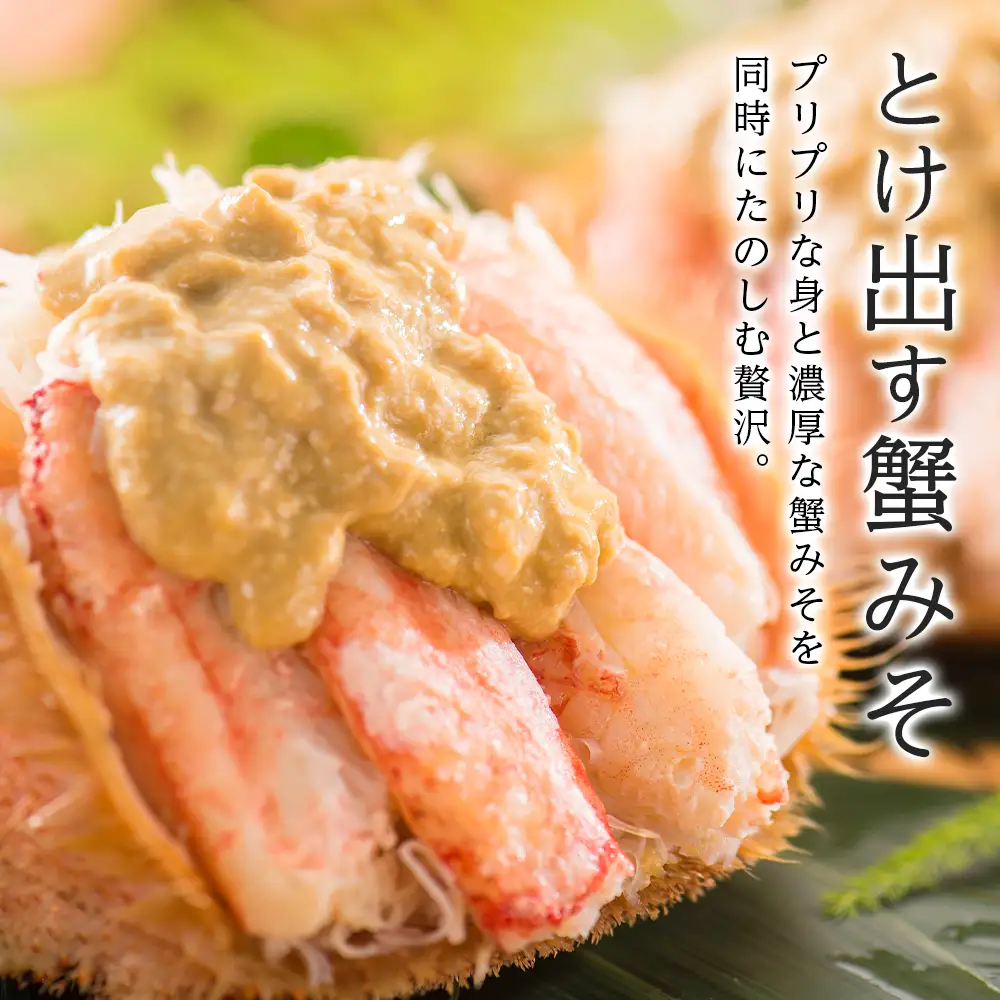 北海道産【朝ゆで】毛ガニ（500g前後）3尾 期間限定！＜かにのマルマサ＞ かに 毛がに カニ 千歳 北海道 海鮮