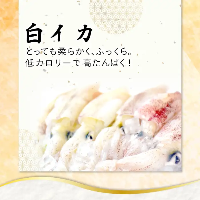 ノドグロ・白イカ一夜干セット【干物セット のどぐろ一夜干し いか 一夜干し のどぐろ干物 2尾 1尾あたり120～140g 白イカ干物 2尾 1尾あたり約70～80g 島根県産 大田市産 ノドグロ しろいか 干物 真空パック 冷凍 贈答 ギフト】