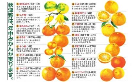 紀州産ミカンジュースと南高梅のジュースセット 季節毎の柑橘ジュース700ml×3本・梅ジュース700ml×3本 / 和歌山 和歌山県産 田辺市 紀州南高梅 梅  梅ジュース みかん みかんジュース 100％ジュース ジュースセット【ktr012-3】