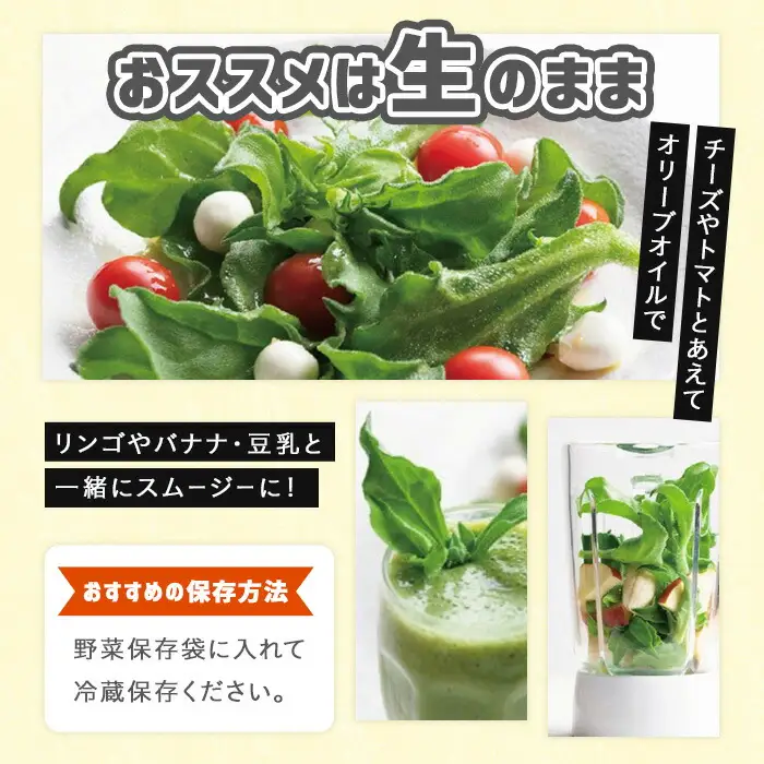 ＜先行予約受付中！12月中旬以降お申し込み順に発送予定＞アイスプラント(計約600g・150g×4パック)野菜 葉物野菜 葉野菜【114800201】【公益社団法人 あじむ農業公社】