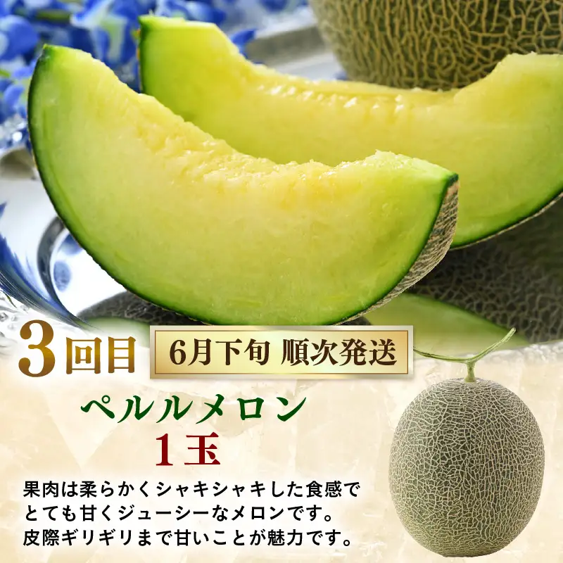 【先行予約】《定期便全5回》フルーツ大満足定期便 ／ すいか マスクメロン 高級メロン 大玉 果物 フルーツ 夏 ギフト 農家直送 ※2027年6月上旬以降発送  [aw065-d001]