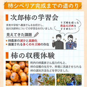 キズ柿をつかった柿シベリア 5個入り 次郎柿 たねなし 柿 かき フルーツ 種なし SDG’s 干し柿 三重県 多気町 gf-13