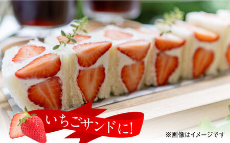 【2027年1月発送開始】いちごさん（450g×2パック） / フルーツ 苺 / 佐賀県 / JAからつ 唐津うまかもん市場 [41ABCA002]