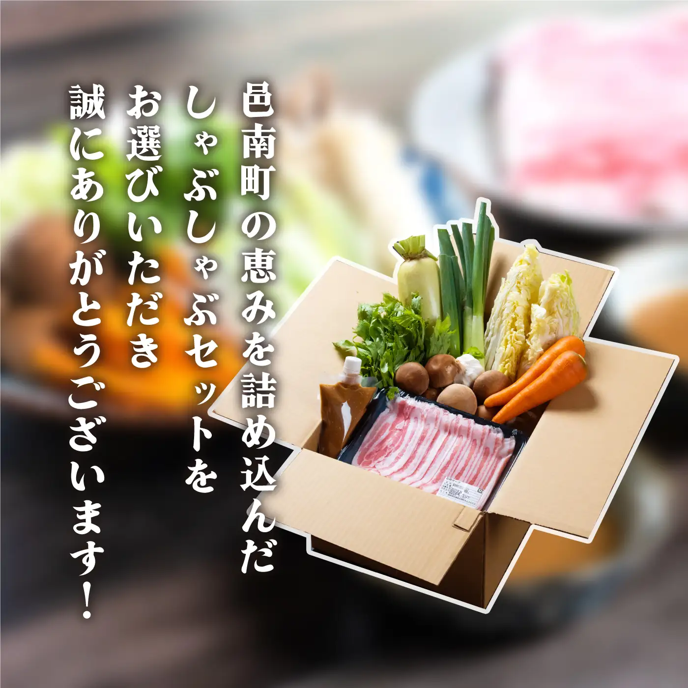 【先行予約】【数量限定】朝どれ野菜のしゃぶしゃぶセット 2人前
