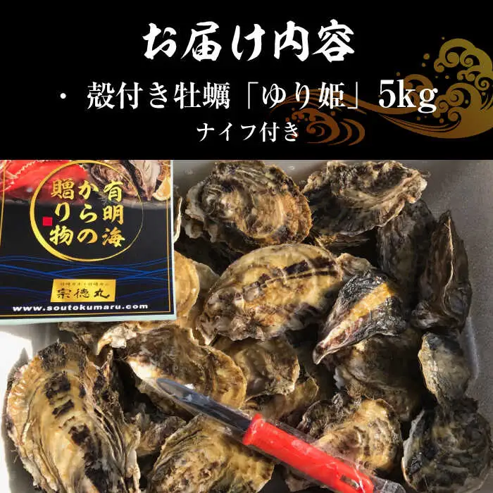【2027年1月以降発送】竹崎産 ブランド生牡蠣「ゆり姫」5kg（ナイフ付き） / 牡蠣 / 佐賀県 / 宗徳丸 [41ATAF004]