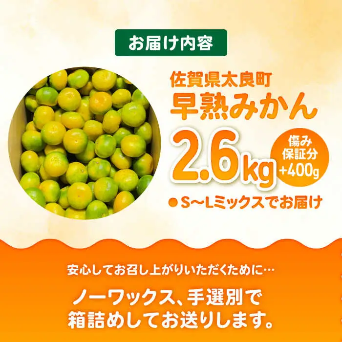 【2026年9月中旬以降発送】早熟みかん 計3kg（2.6kg＋400g傷み保証分） / みかん 柑橘 / 佐賀県 / 山本農園 [41ATBT001]