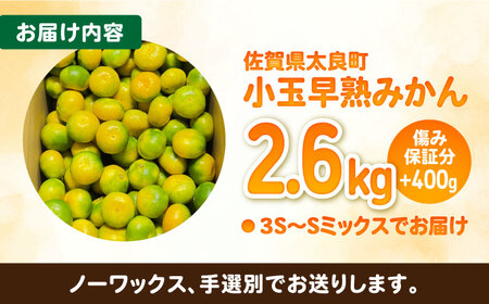 【2026年9月中旬以降発送】★小玉★早熟みかん 計3kg（2.6kg＋400g傷み保証分） / 佐賀県 / 山本農園 [41ATBT005]