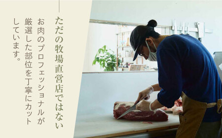佐賀牛すきやき用 500g [41ASAA001]