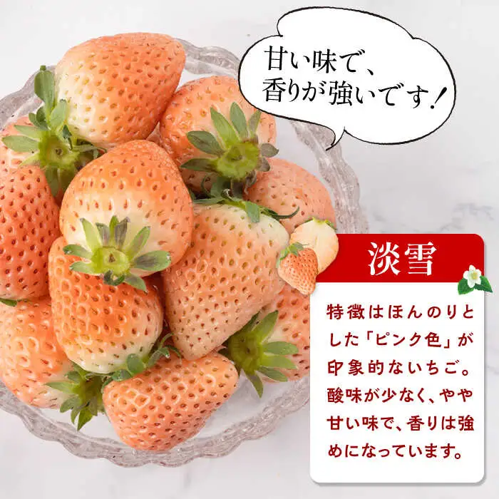 【全3回定期便】白いちご2種（淡雪・パールホワイト）/ いちご イチゴ 苺 果物 フルーツ 定期便 / 佐賀県ふるさと納税 [41AAZZ001]