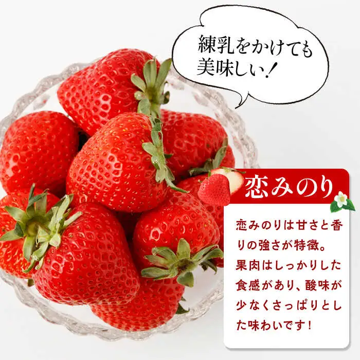 【全4回定期便】紅白いちご（恋みのり・パールホワイト）/ いちご イチゴ 苺 果物 フルーツ 定期便 / 佐賀県ふるさと納税 [41AAZZ002]
