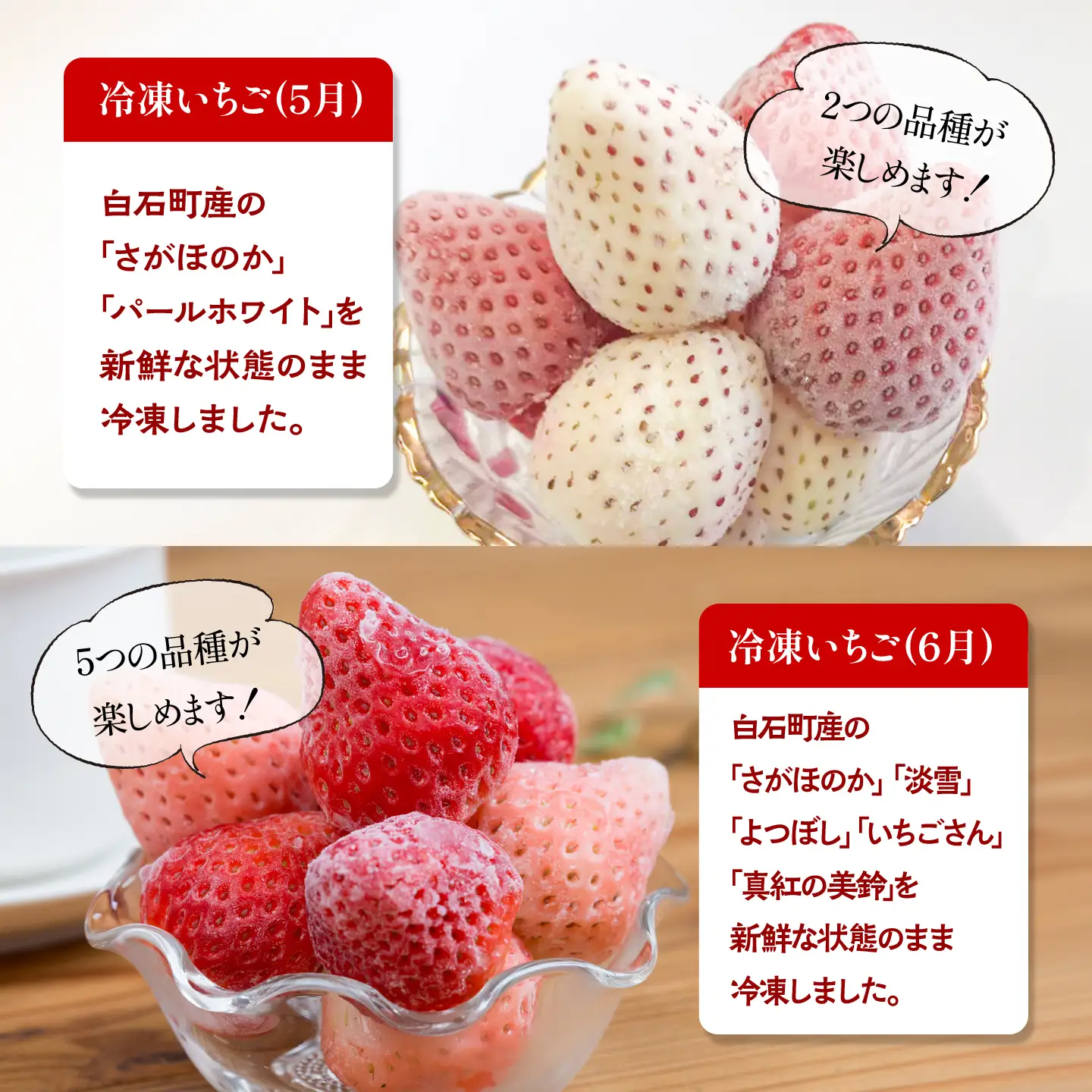 【全5回定期便】白いちご2種と冷凍いちご / いちご イチゴ 苺 果物 フルーツ 定期便 / 佐賀県ふるさと納税 [41AAZZ004]