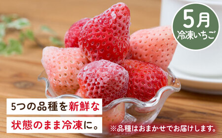【全5回定期便】佐賀県産 いちご4品種（いちごさん・さがほのか・よつぼし・淡雪）と冷凍いちご食べ比べ / 佐賀県 / 岸川農園 [41ASAG039]
