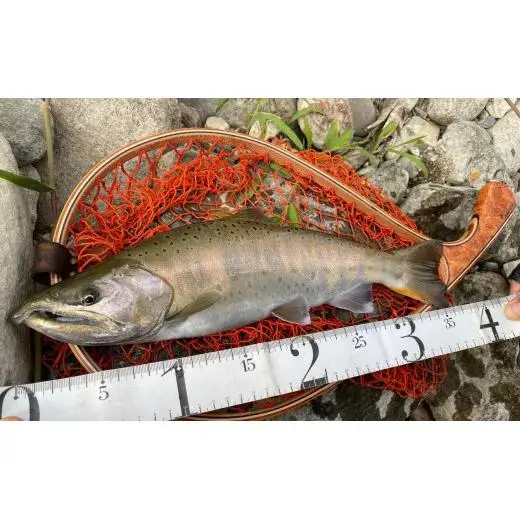〈現川焼臥牛窯〉オーダーメイド７寸皿