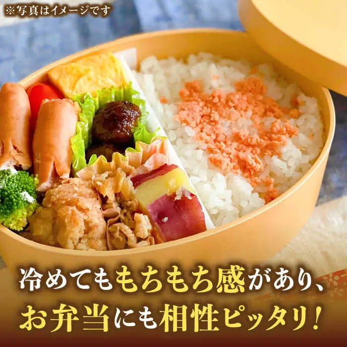 【令和7年産】福岡県産ブランド米「元気つくし」無洗米 10kg (5kg×2袋)【2025年11月以降順次発送】 [ABDD004]