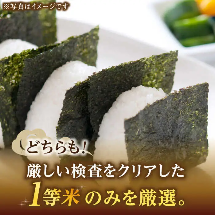 【先行予約】【令和7年産】福岡県産米食べ比べ「夢つくし」と「元気つくし」セット 無洗米 計20kg【2025年11月以降順次発送】 [ABDD016]