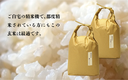 福岡県産【特A米】元気つくし【A米】 夢つくしの食べ比べ 各5kg×2袋 [10kg] [玄米] [ABDF035]
