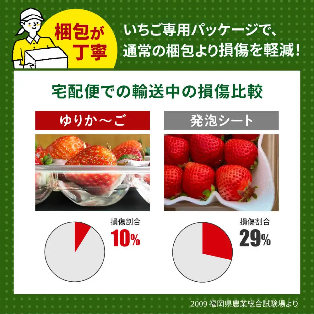 【先行予約】いちご 朝採り あまおう 約270g×2[ABDG003] いちご 果物