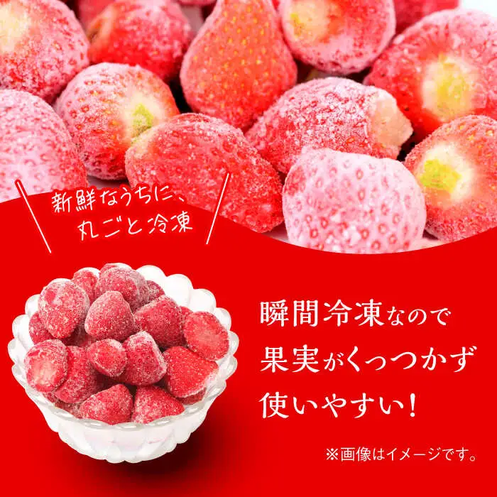 いちご 福岡県産 約500g×2袋 合計約1kg [ABDG005] 果物 あまおう