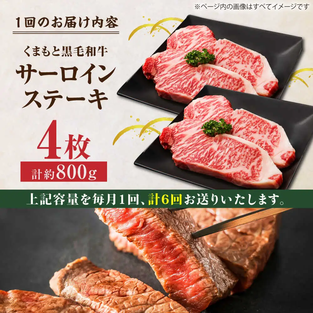 【6回定期便】くまもと黒毛和牛 サーロインステーキ 計800g（4枚）【馬刺しの郷 民守】 霜降り サーロイン ステーキ  [ZBL081]