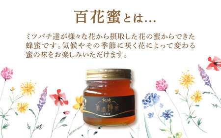 美濃蜂蜜 百花蜜 300g 【マンモスハウス合同会社】 はちみつ 非加熱 国産[TEW001]