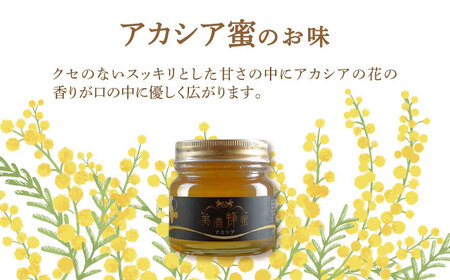 美濃蜂蜜 アカシア 300g 【マンモスハウス合同会社】 はちみつ 非加熱 国産[TEW003]