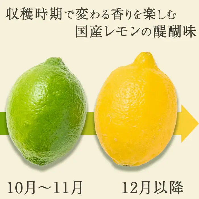 《１月発送》【皮まで食べられる】海と太陽のレモン【訳あり品-良品-】５kg（約40個） [0011-0058]