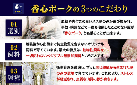 香心ポーク たっぷり肉肉セット 約2.8kg以上 有限会社コーシン《30日以内に出荷予定(土日祝除く)》 熊本 大津町 豚肉 豚 もも肉 モモ肉 ステーキ しゃぶしゃぶ すき焼き とんかつ 焼肉 送料無料