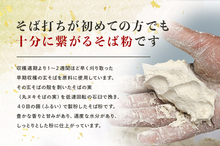 ＜のし可＞茨城県産 常陸秋そば そば粉 1kg×3袋入 そば 蕎麦 ソバ 蕎麦粉 そば打ち 茨城県産 国産 農家直送 （茨城県共通返礼品 / 桜川市） 61-A