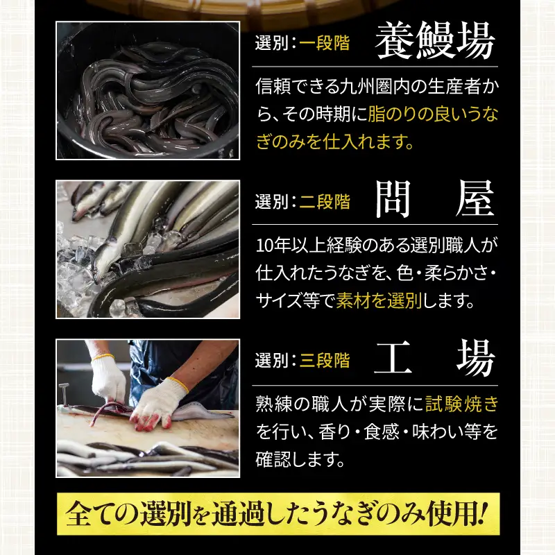 1721-2 【定期（全6回）】大人気！鯉家の極上蒲焼「大トロうなぎ（4尾）」【国産・手焼き備長炭】 KN040-T02 魚 冷凍 鰻