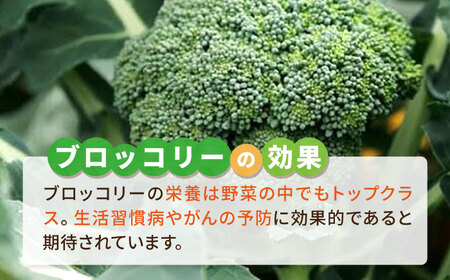 ブロッコリー 500g 冷凍 旬の時期に急速冷凍 【福岡県糸島産】 糸島市 / オーガニックナガミツファーム 野菜 	[AGE043]