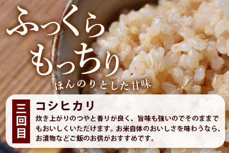 【お米の定期便4回】那賀町のお米バラエティ食べ比べ定期便 10kg×4回 計40kg 【徳島県 那賀町 相生 国産 4品種 玄米 あきさかり ヒノヒカリ コシヒカリ キヌヒカリ 10kg 10キロ 40kg 40キロ 食べ比べ 玄米 産地直送】YS-8