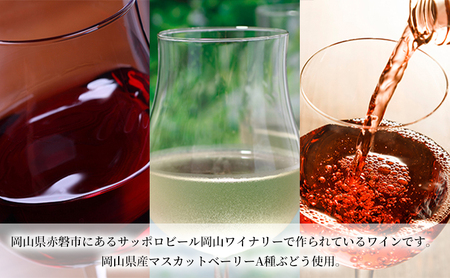 ワイン 飲み比べ 定期便 2ヶ月 サッポロ 岡山 ワイナリー お酒 ぶどう ワイン 