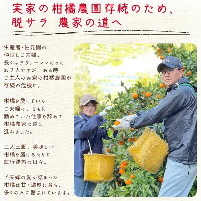 和歌山県産 有田みかん【訳あり 家庭用】約1.5kg 小玉 3S～Sサイズ おまかせ_DI6045