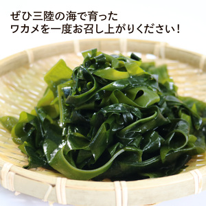 塩蔵わかめ 1.2Kg 120g×10袋 わかめ 塩蔵 海鮮 海藻 魚貝類 魚介類 小分け みそ汁 スープ 酢の物 岩手県 大船渡市