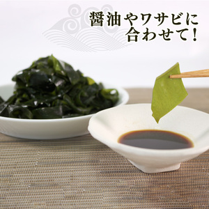 塩蔵わかめ 120g 5袋 わかめ 塩蔵 海鮮 海藻 魚貝類 魚介類 小分け みそ汁 スープ 酢の物 岩手県 大船渡市