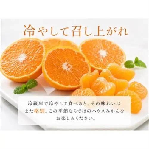 赤秀品　紀州和歌山ハウスみかん2.5kg【日高町】【1216957】