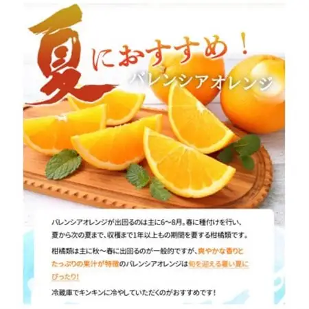 【2027年6月下旬頃発送】【ご家庭用訳あり】希少な国産バレンシアオレンジ　7kg【日高町】【配送不可地域：離島】【1216981】