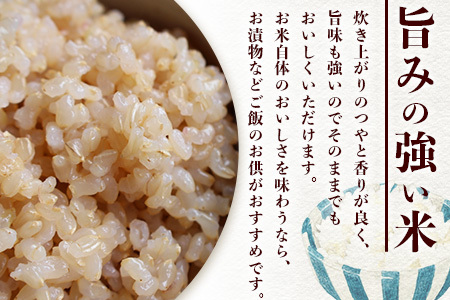 【お米の定期便12回】那賀町のお米 コシヒカリ (玄米) 10kg×12回 計120kg【徳島県 那賀町 相生 国産 玄米 コシヒカリ 10kg 10キロ 120kg 120キロ 産地直送】YS-29