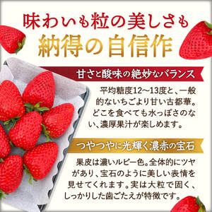 いちご【2026年1月～発送開始・数量限定】古都華いちごプレミアム I-275